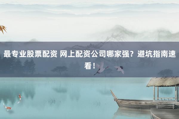 最专业股票配资 网上配资公司哪家强?避坑指南速看!