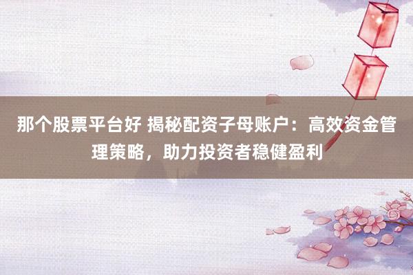 那个股票平台好 揭秘配资子母账户：高效资金管理策略，助力投资者稳健盈利