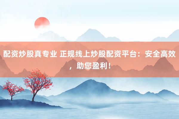 配资炒股真专业 正规线上炒股配资平台：安全高效，助您盈利！