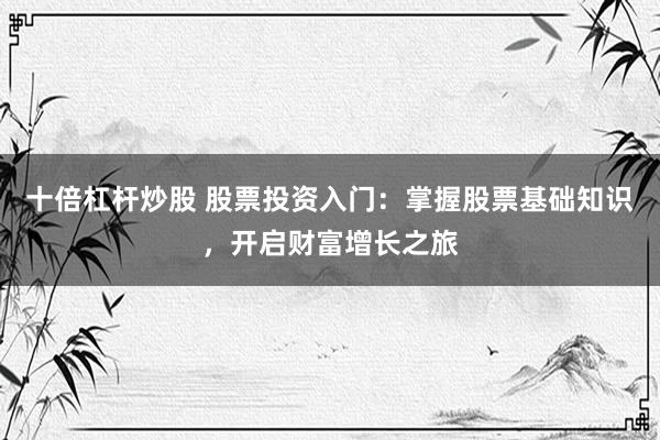 十倍杠杆炒股 股票投资入门：掌握股票基础知识，开启财富增长之旅