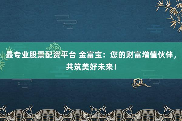 最专业股票配资平台 金富宝：您的财富增值伙伴，共筑美好未来！