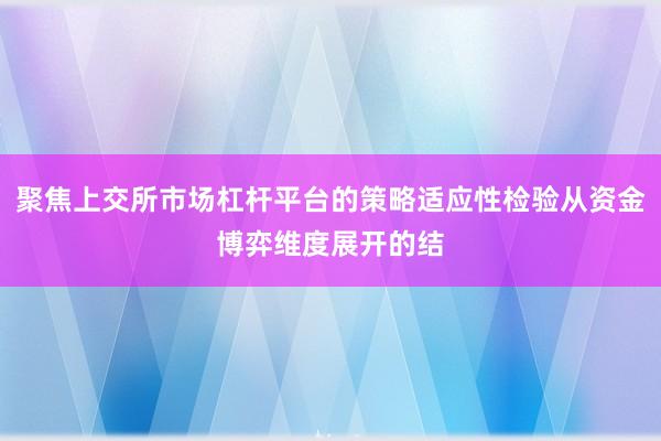 聚焦上交所市场杠杆平台的策略适应性检验从资金博弈维度展开的结