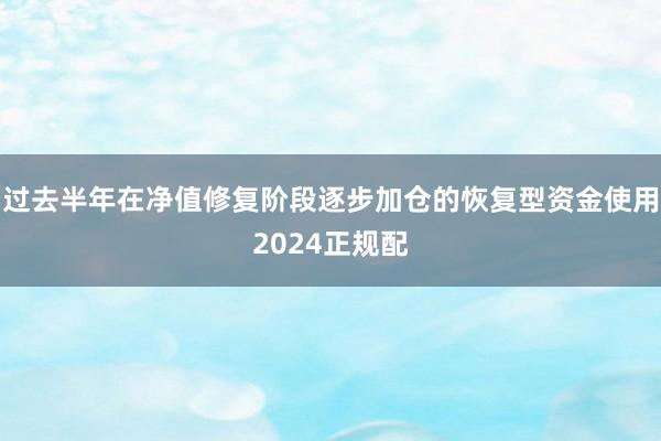 过去半年在净值修复阶段逐步加仓的恢复型资金使用2024正规配