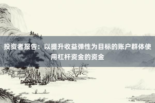 投资者报告：以提升收益弹性为目标的账户群体使用杠杆资金的资金