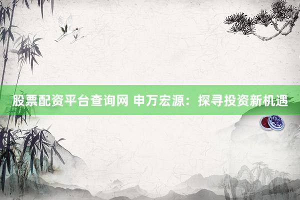 股票配资平台查询网 申万宏源：探寻投资新机遇